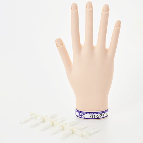 STモデルハンド 右手(JNEC 第1期認定モデルハンド)