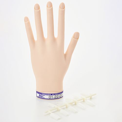 STモデルハンド 左手(JNEC 第1期認定モデルハンド)