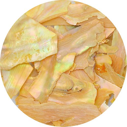 [欠品]スライスシェル イエロー【お取り寄せ】【ゆうパケット】