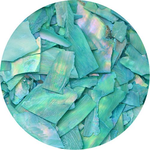 スライスシェル エメラルドグリーン【お取り寄せ】【ゆうパケット】