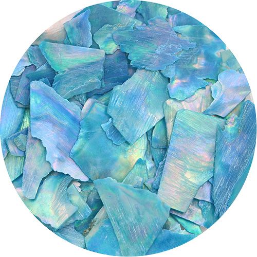 スライスシェル スカイブルー【ゆうパケット】