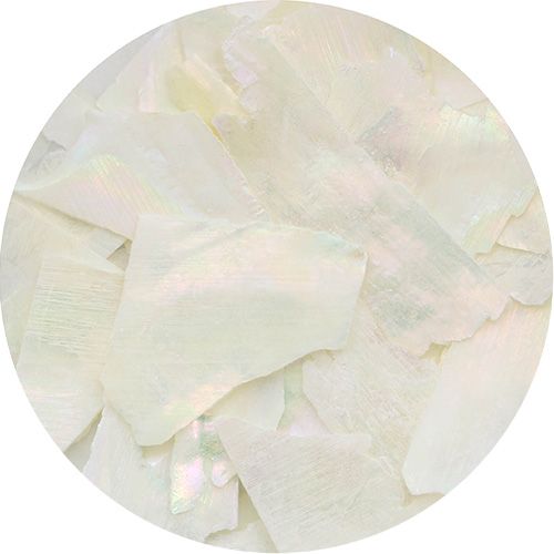 スライスシェル ホワイト【ゆうパケット】