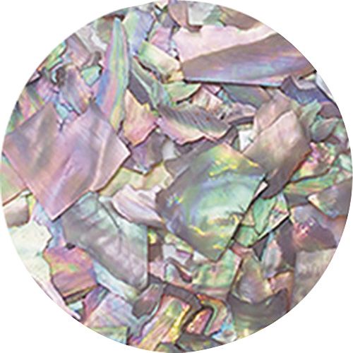 ナチュラルビーチシェル BZ05 グレーオパール【お取り寄せ】【ゆうパケット】