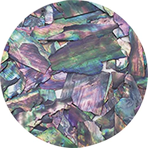 ナチュラルビーチシェル BZ14 ブラックオパール【お取り寄せ】【ゆうパケット】