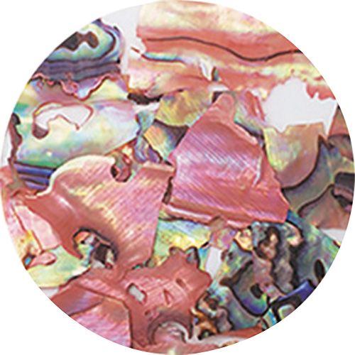 ナチュラルビーチシェル NZ02 ピンクマーブル【お取り寄せ】【ゆうパケット】