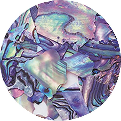 ナチュラルビーチシェル NZ03 パープルマーブル【お取り寄せ】【ゆうパケット】