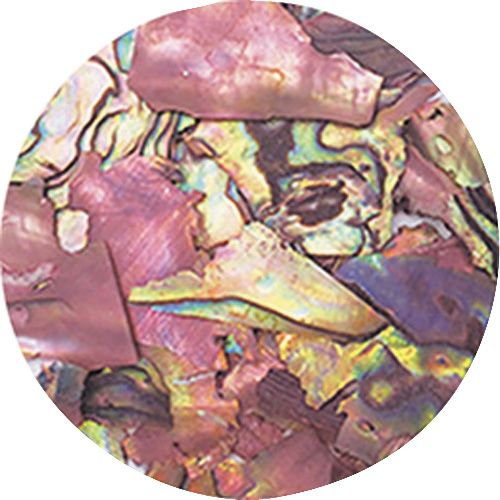 ナチュラルビーチシェル NZ05 コーヒーマーブル【お取り寄せ】【ゆうパケット】