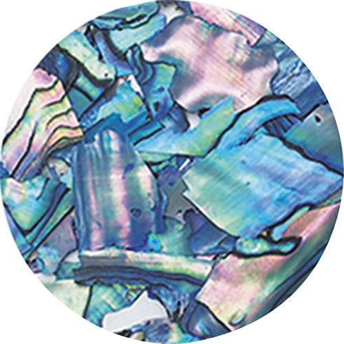 ナチュラルビーチシェル NZ04 ブルーマーブル【お取り寄せ】【ゆうパケット】