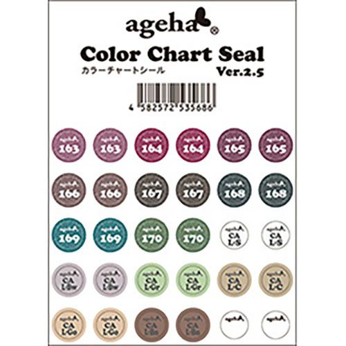 カラーチャートシール Ver.2.5(163-170) グロスダスト【ゆうパケット】