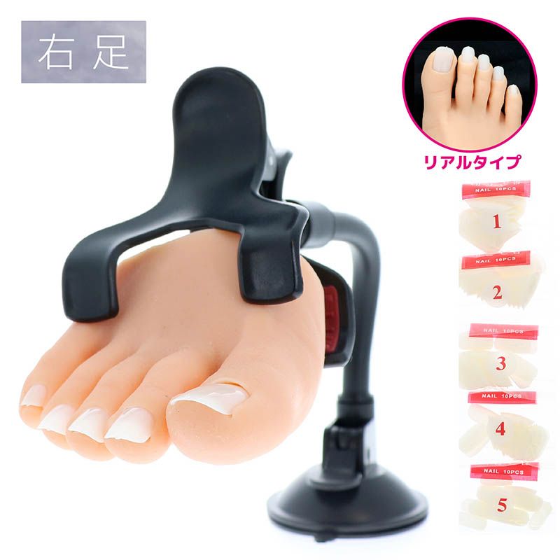 プラクティス ハーフフット　リアル右足 (PFR-1)【お取り寄せ】