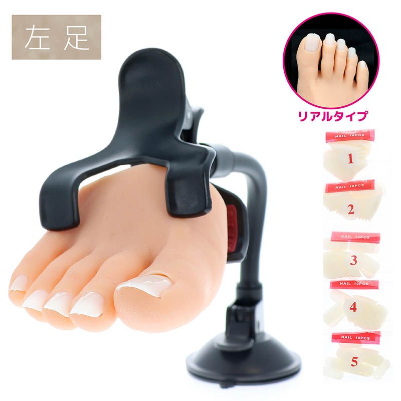プラクティス ハーフフット　リアル左足 (PFR-2)【お取り寄せ】