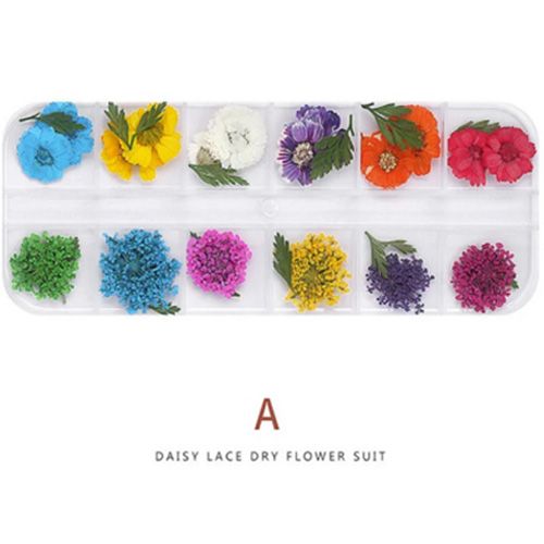 ドライフラワーA【ゆうパケット】