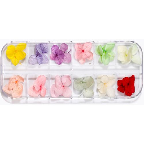 ドライフラワーH【ゆうパケット】