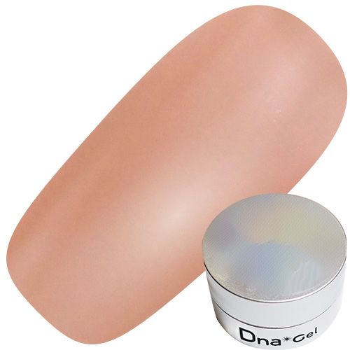 カラージェル　2.5g N23 ナツハゼ【お取り寄せ】【ゆうパケット】