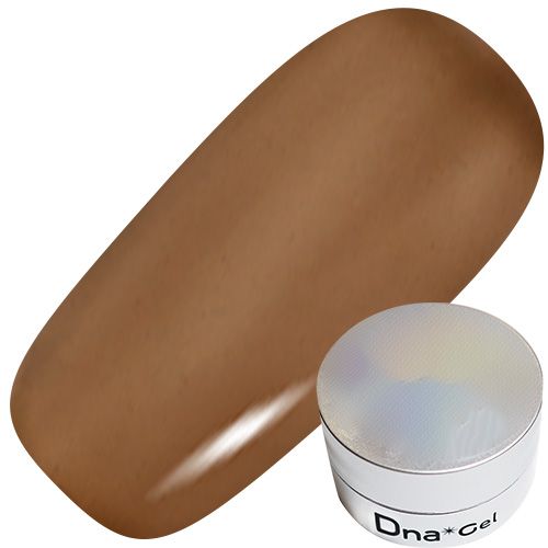 カラージェル 2.5g C16 カラチャ【お取り寄せ】【ゆうパケット】