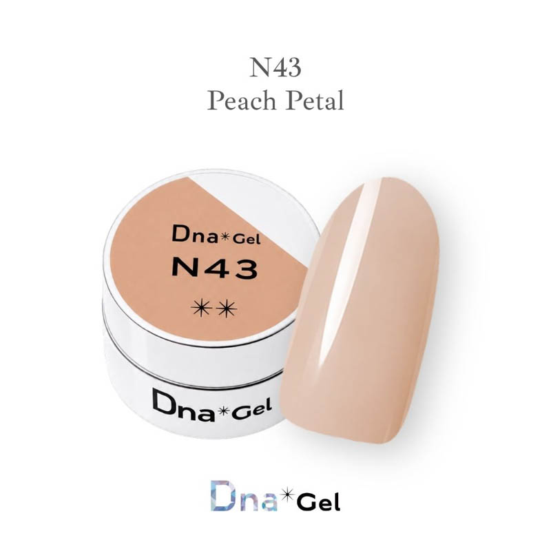 カラージェル N43 ピーチペタル 2.5g【お取り寄せ】【ゆうパケット】