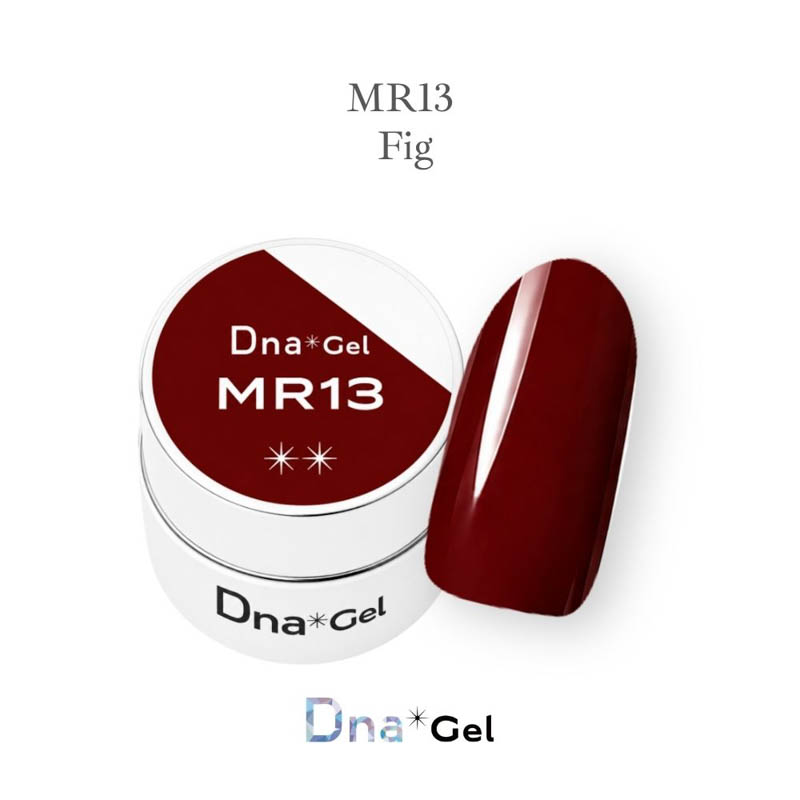 カラージェル MR13 フィグ 2.5g【お取り寄せ】【ゆうパケット】
