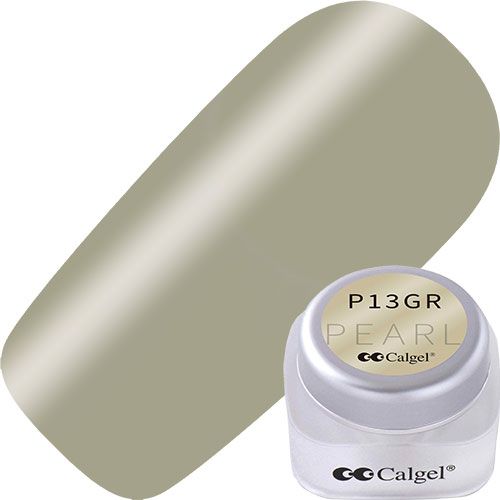 【Misty Antique Collection】カラージェルプラス2.5g CGP13GR ミスティリーフ【お取り寄せ】【ゆうパケット】