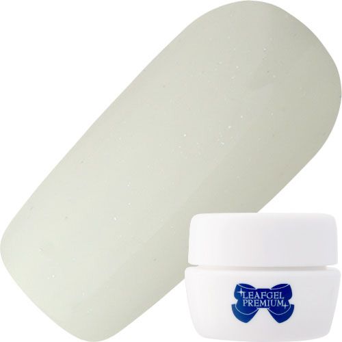 カラージェル4g 005イボアール【ゆうパケット】