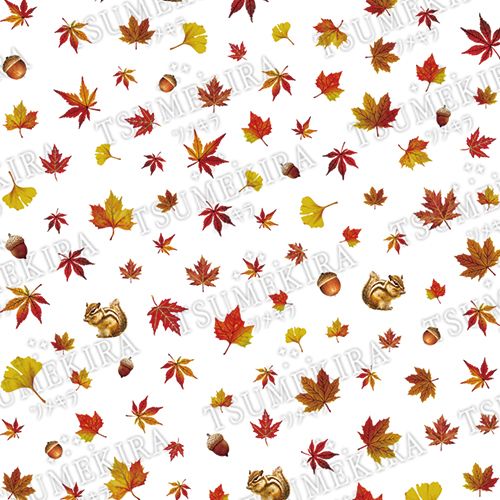 秋の彩り【お取り寄せ】【ゆうパケット】