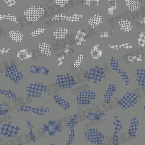 【Fumiプロデュース1】lattice CHECK1/ラティスチェック 1【ゆうパケット】