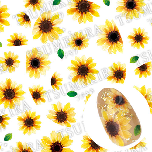 ひまわり でか【お取り寄せ】【ゆうパケット】