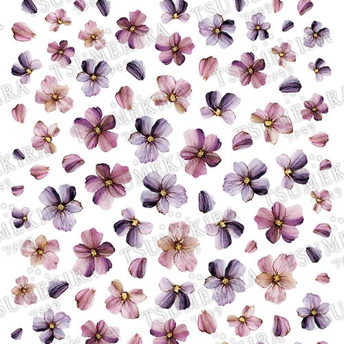 【MOMOプロデュース】ビオラ【ゆうパケット】