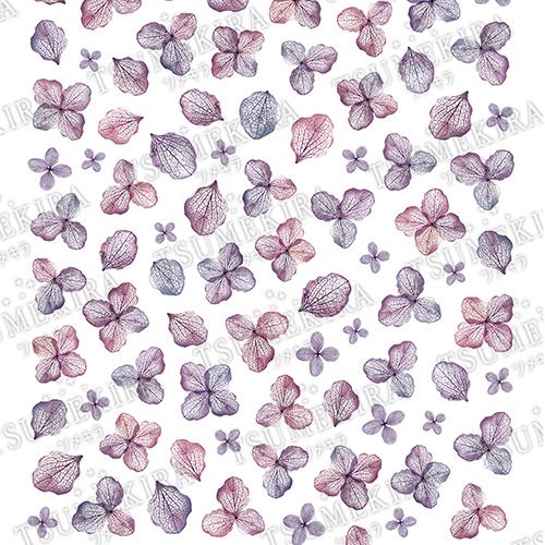 【yumiプロデュース】あじさい5【お取り寄せ】【ゆうパケット】