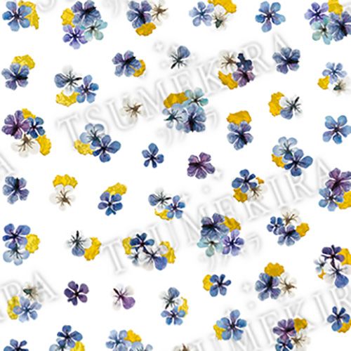 【noble】ドライフラワーと金箔3 ブルー【ゆうパケット】