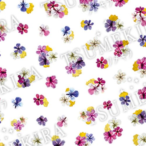 【noble】ドライフラワーと金箔1【ゆうパケット】