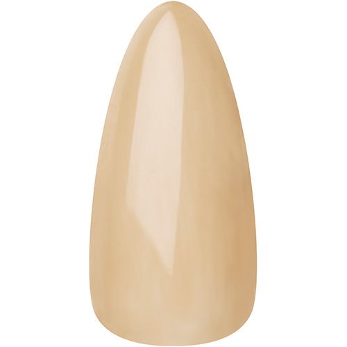 カラージェル(レフィル) チャイ【お取り寄せ】【ゆうパケット】