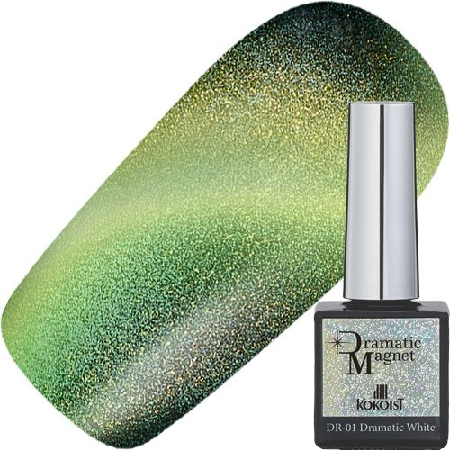 ドラマティックマグネット10g DR-09 Dramatic Forest【お取り寄せ】