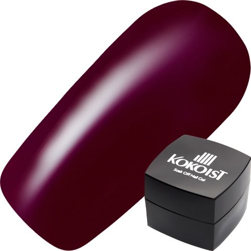 ●【ミッドナイトシリーズ】カラージェル2.5g　E219　ミッドナイトバーガンディ【ゆうパケット】