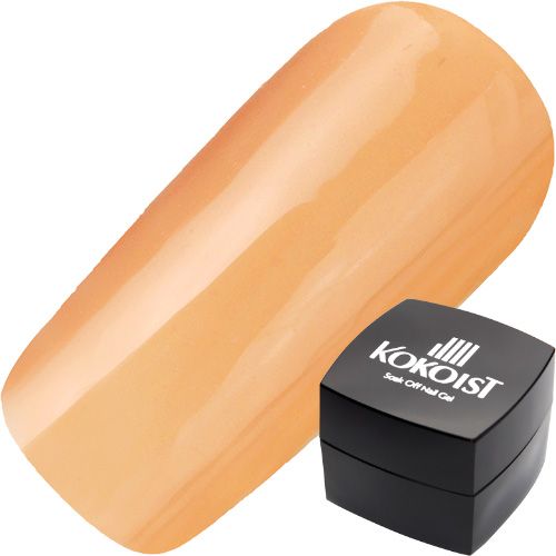 【ブレッドプディングシリーズ 】カラージェル 2.5g E245S キャロットブレッドプディング【お取り寄せ】【ゆうパケット】