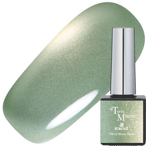Terra Magnet 10g TM-55 Mossy Stone