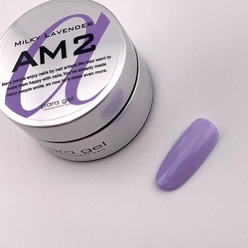 アートカラージェル4g AM2 ミルキーラベンダー【お取り寄せ】【ゆうパケット】