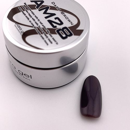 アートカラージェル4g AM28 ダークブラウン【お取り寄せ】【ゆうパケット】