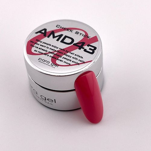 アートカラージェル2g AMD43 チークスティック【お取り寄せ】【ゆうパケット】