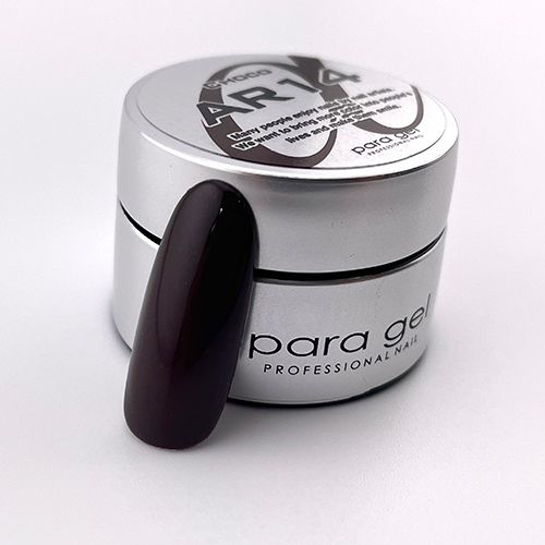 アートカラージェル2g AR14 チョコ【お取り寄せ】【ゆうパケット】