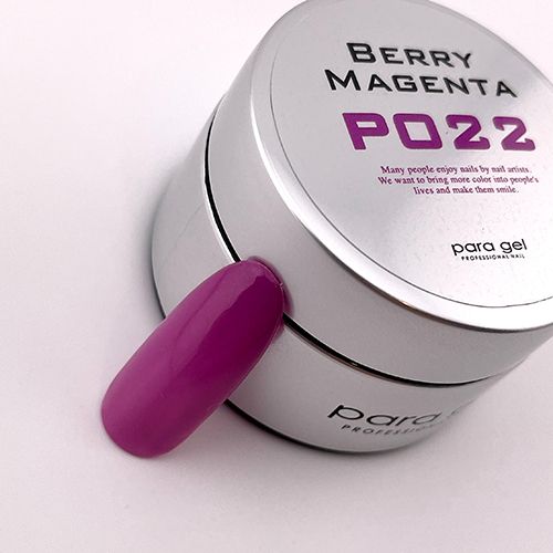 カラージェル4g P022 ベリーマゼンタ【お取り寄せ】【ゆうパケット】