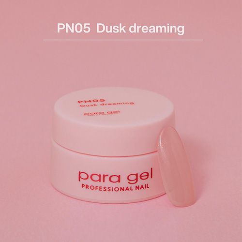 ピンクライン3g PN05 ダスクドリーミング【お取り寄せ】【ゆうパケット】