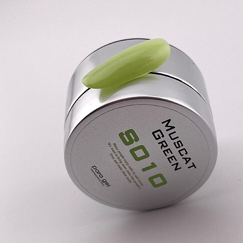 カラージェル4g S010 マスカットグリーン【お取り寄せ】【ゆうパケット】