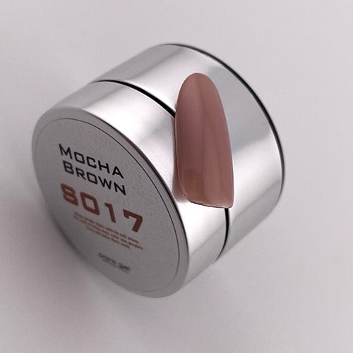 カラージェル4g S017 モカブラウン【お取り寄せ】【ゆうパケット】