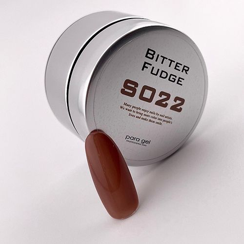 カラージェル4g S022 ビターファッジ【お取り寄せ】【ゆうパケット】