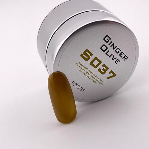 カラージェル4g S037 ジンジャーオリーブ【お取り寄せ】【ゆうパケット】