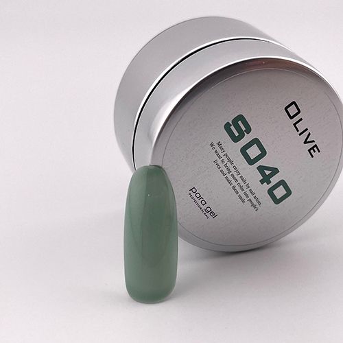 カラージェル4g S040 オリーブ【お取り寄せ】【ゆうパケット】