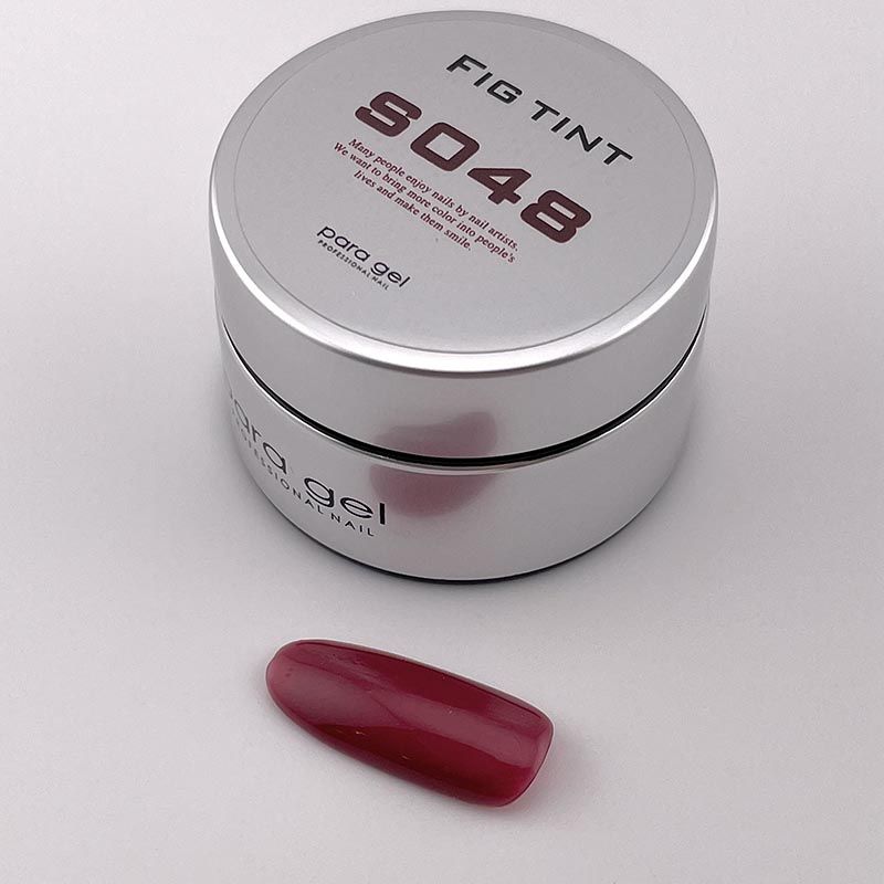 カラージェル4g S048 フィグティント【お取り寄せ】【ゆうパケット】