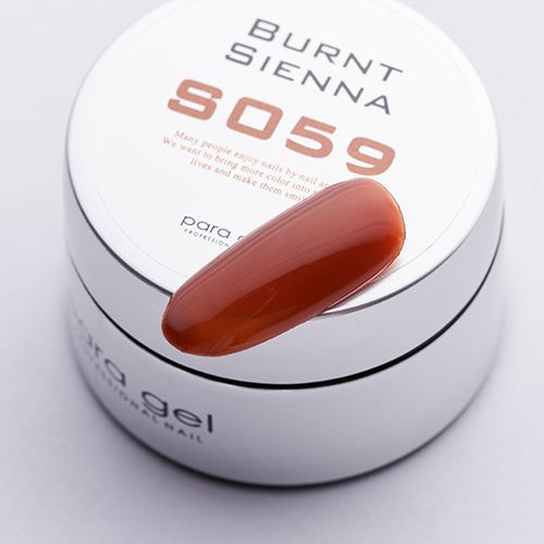 カラージェル4g S059 バーントシェンナ【お取り寄せ】【ゆうパケット】