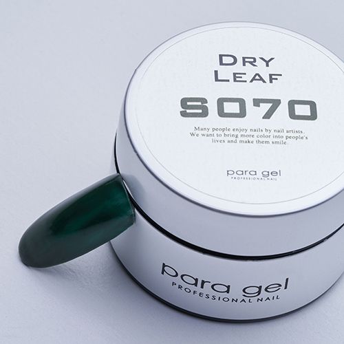 【2022Winter Collection】カラージェル4g S070 ドライリーフ【お取り寄せ】【ゆうパケット】