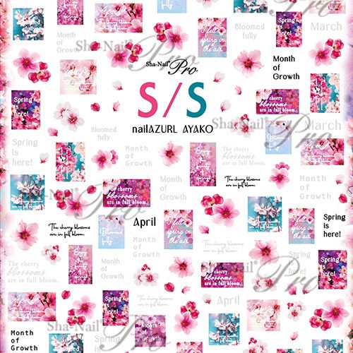 【AYAKO先生コラボ】S/S /エスエス【ゆうパケット】